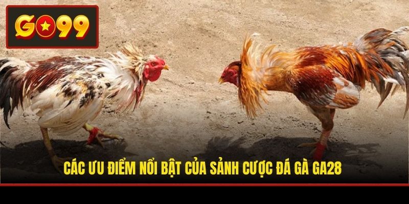 Các ưu điểm nổi bật của sảnh cược đá gà GA28