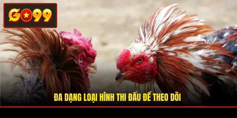 Đa dạng loại hình thi đấu để theo dõi