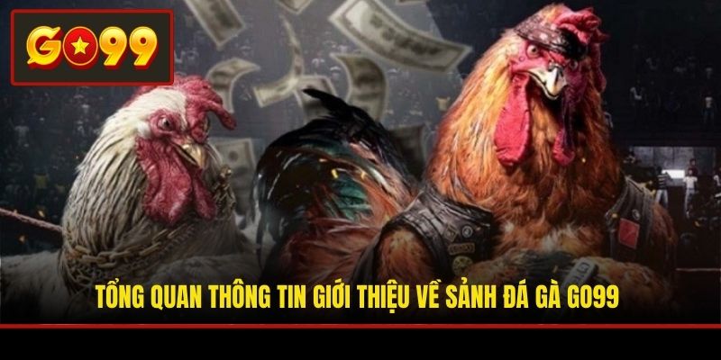 Tổng quan thông tin giới thiệu về sảnh đá gà Go99