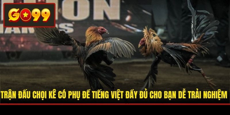 Trận đấu chọi kê có phụ đề tiếng Việt đầy đủ cho bạn dễ trải nghiệm