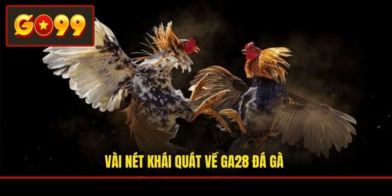 Vài nét khái quát về GA28 đá gà